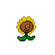 sunflower full animation set