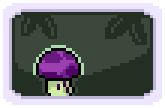 puffshroom seed packet