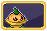 saucer squash seed packet